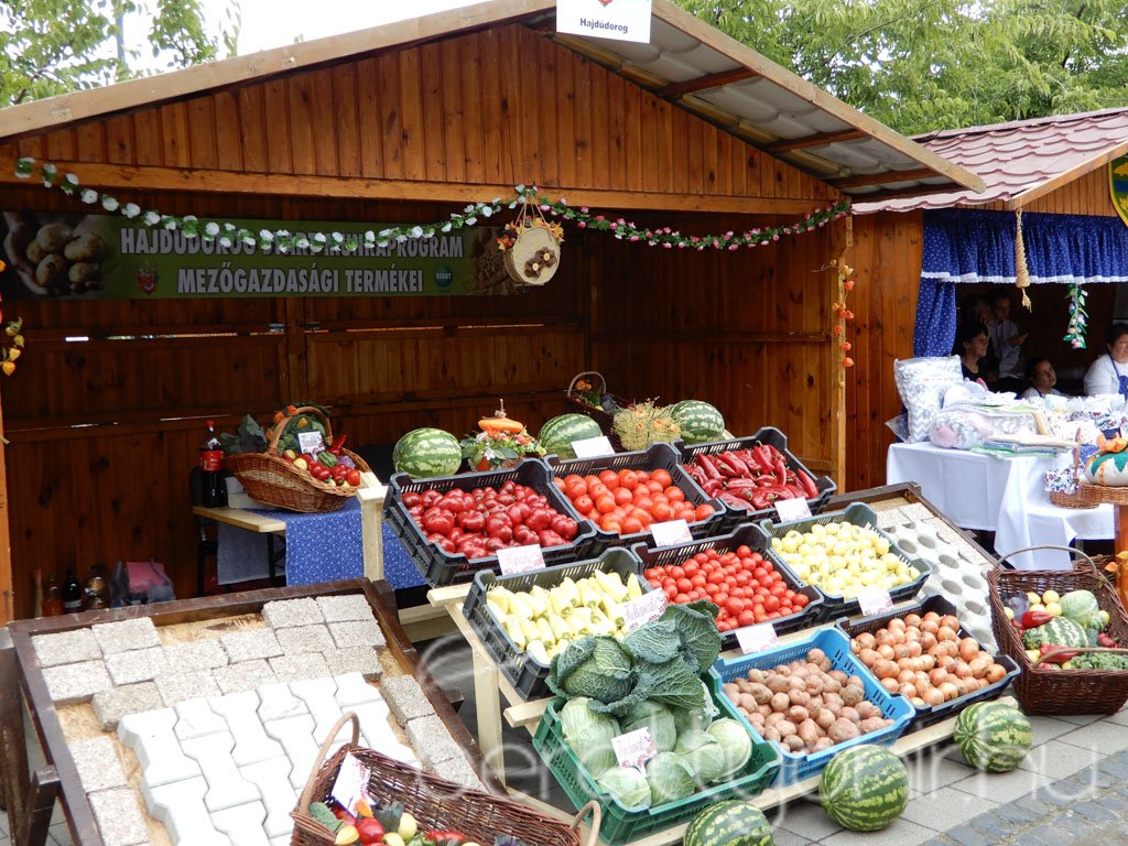 Helyi Értékek Startja 40